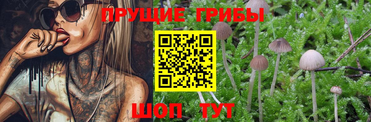ГАШИШ  Междуреченск  Каннабис  Меф МЯУ МЯУ кристаллы  Вход с VPN  Гашиш  Cocaine 