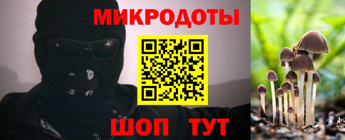 Междуреченск  наркота  Вход с VPN  Псилоцибиновые грибы прущие грибы  Псилоцибиновые грибы Psilocybine cubensis 